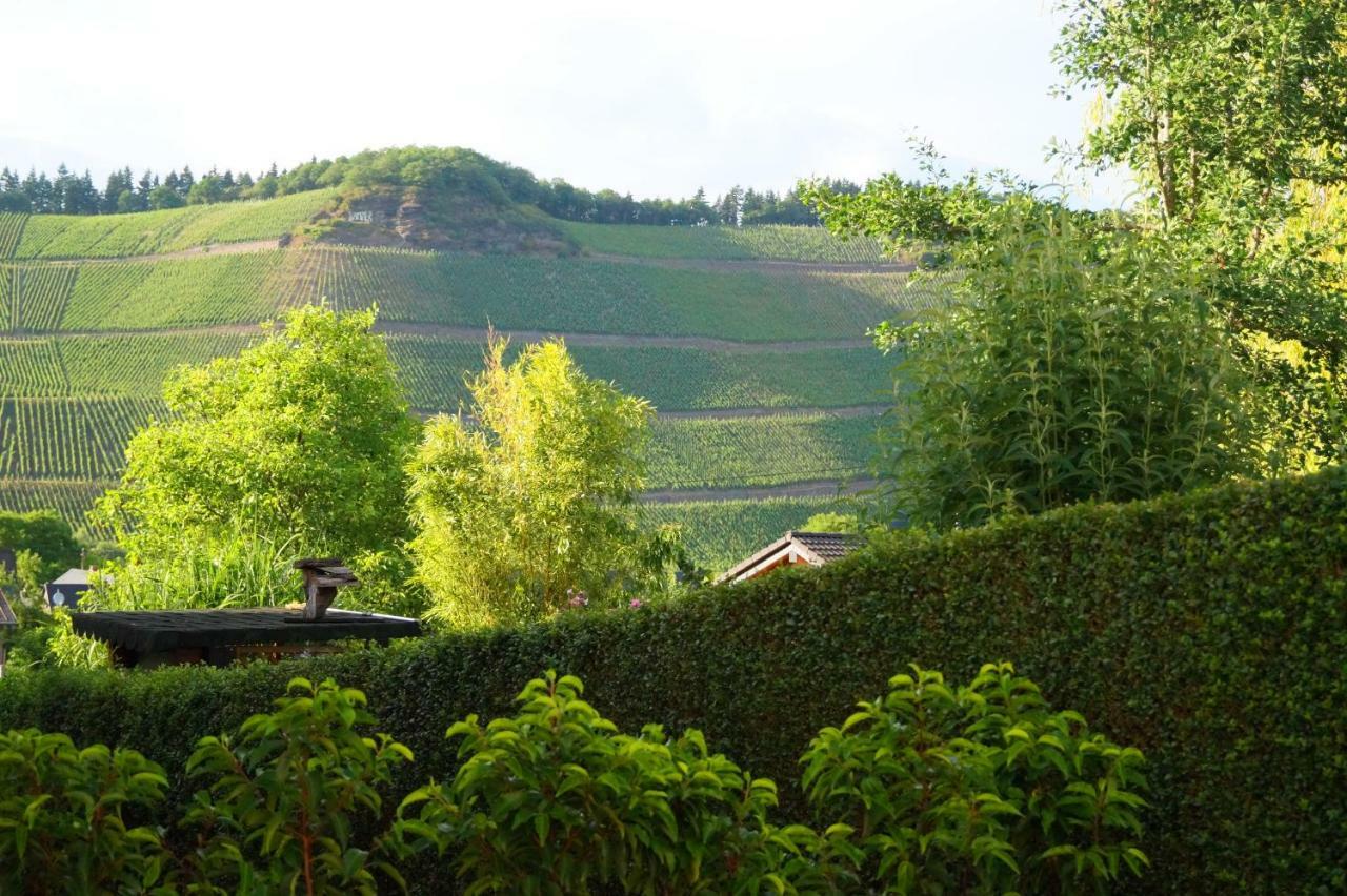 Mosel-Auszeit Apartment เบราเนอแบร์ก ภายนอก รูปภาพ