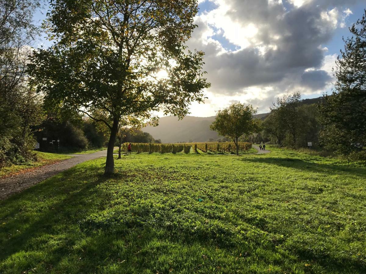Mosel-Auszeit Apartment เบราเนอแบร์ก ภายนอก รูปภาพ